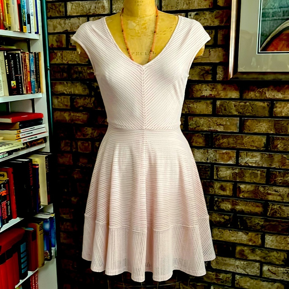 Bar III Ballet dress